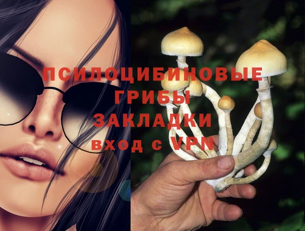 MDMA Premium VHQ Корсаков