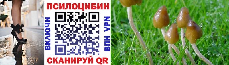 Псилоцибиновые грибы мицелий Ржев
