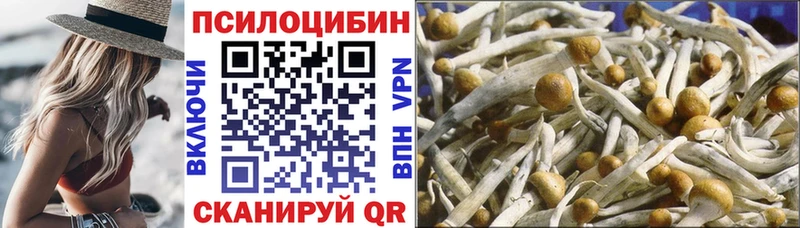 Галлюциногенные грибы GOLDEN TEACHER  Купить закладки  Ржев 